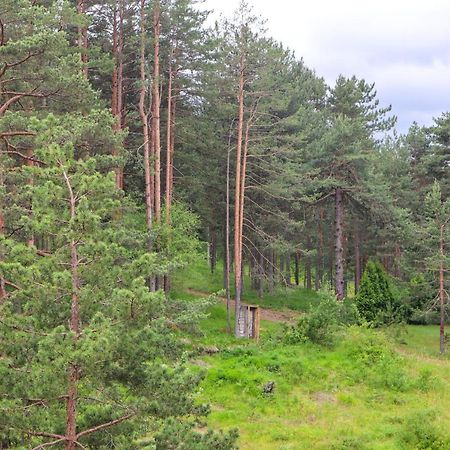 Zlatibor Holiday, Vila Leonardo VI Bagian luar foto
