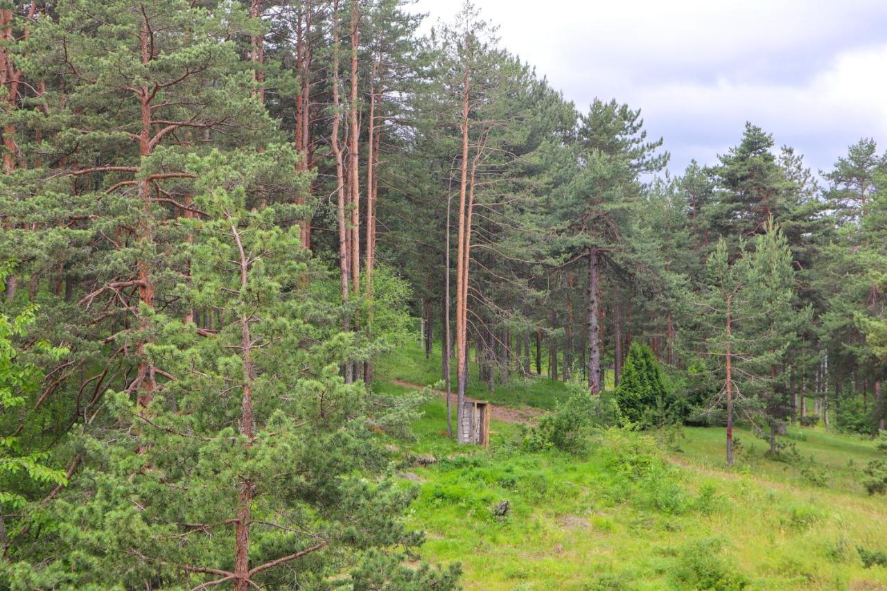 Zlatibor Holiday, Vila Leonardo VI Bagian luar foto