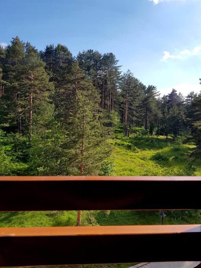 Zlatibor Holiday, Vila Leonardo VI Bagian luar foto